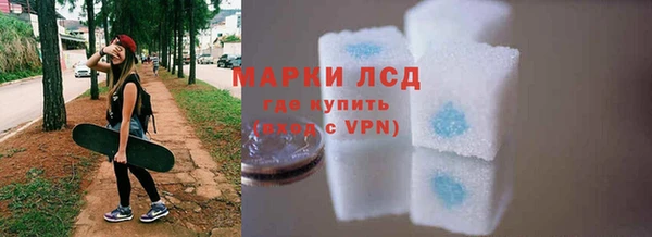 стафф Каменногорск