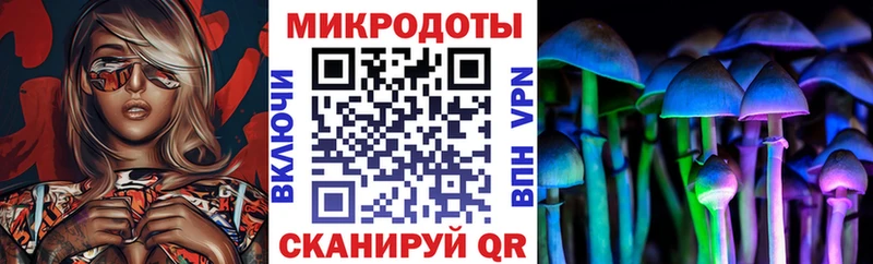 Галлюциногенные грибы Psilocybine cubensis  Чапаевск 